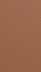Fototapeta premium Brown skin texture.