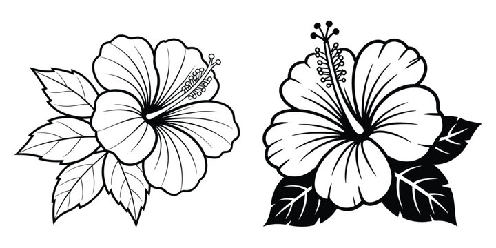 Black and white hibiscus flower vector illustration with tropical floral elements