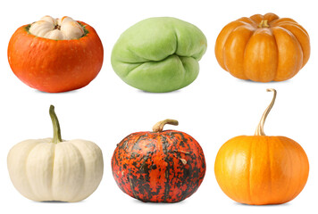 Fresh pumpkins and chayote isolated on white, set. Vegetables of gourd family