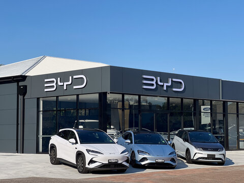 BYD Company car dealer