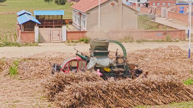 Workers using a machine to crush straw