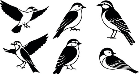 Obraz premium Vector set of six different small birds black and white simple line art style for design and decoration purposes