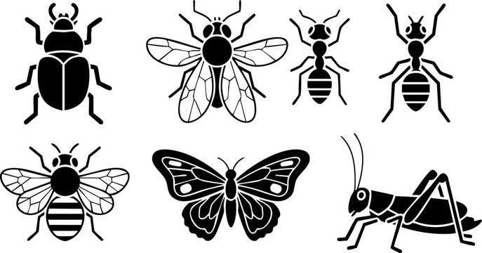 Insect silhouettes collection including beetle, fly, ant, bee, butterfly, and grasshopper in black vector design