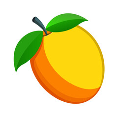 vector illustration of an orange fruit