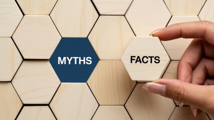 Discover the facts and debunk the myths with this modern, visually engaging information concept for your business presentation