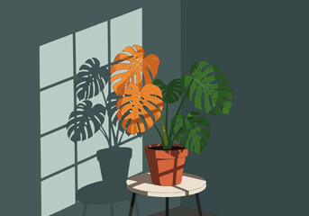 Illustration of a monstera plant with large green and orange leaves sits in a terracotta pot on a small stool, casting a shadow on a wall with gridlike window light