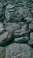 Natural coastal protection stone, a bulwark against abrasion