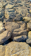 These large piles of rocks function as breakwaters, protecting the coast from erosion