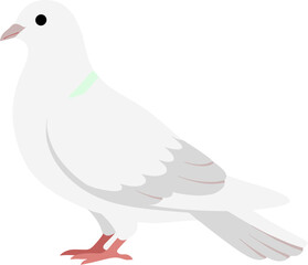 Simple Flat Illustration of a Graceful White Dove Bird Animal