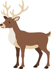 Flat Style Detailed Reindeer Standing Gracefully Animal Illustration