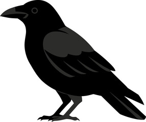 Obraz premium Flat Style Detailed Raven Illustration Isolated on White Background Icon