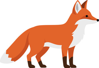 Flat Orange Fox Standing Side View Illustration Graphic Element