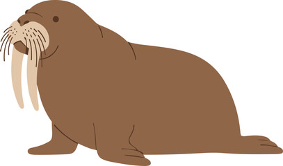 Cute Cartoon Style Detailed Walrus Sea Mammal Creature Illustration