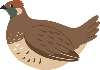 Simple Flat Illustration of California Quail Bird Wildlife Icon