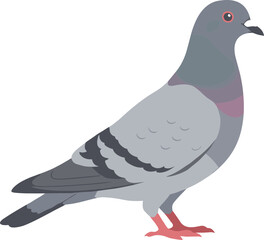 Simple Flat Illustration of a Standing Pigeon Urban Bird Fauna