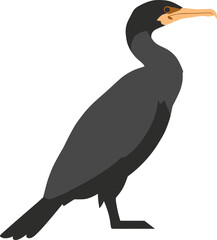 Flat Style Cormorant Bird Illustration Simple Standing Pose Wildlife