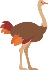 Flat Simple Style Ostrich Bird Illustration Standing Gracefully Animal