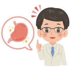 健康な胃と白衣を着た男性医師　上半身イラスト／Healthy Stomach with Male Doctor in White Coat　upper body illustration