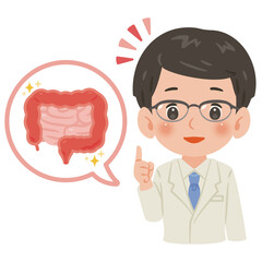 健康な腸と白衣を着た男性医師　上半身イラスト／ Healthy Intestines with Male Doctor in White Coat　upper body illustration