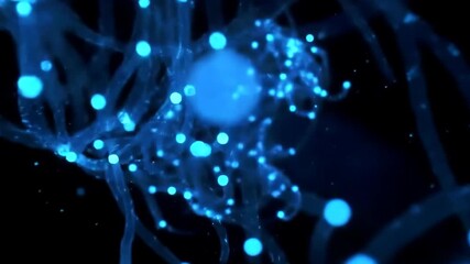 Macro shot of a slowly rotating bioluminescent neural network with glowing blue data nodes on a dark background - Powered by Adobe