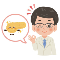 健康な膵臓のキャラクターと白衣を着た男性医師　上半身イラスト／Healthy Pancreas Character with Male Doctor in White Coat　upper body illustration