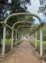 View of the Botanical Garden of Rio de Janeiro