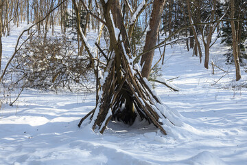 Winter Shelter in Forest