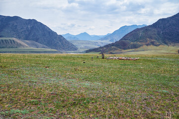 Ancient burials in the Altai mountains on terrace of the Katun and Bolshoy Yaloman rivers.