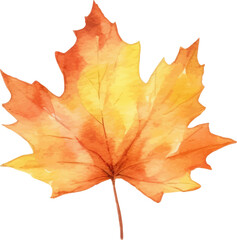 Autumn banner with orange leaves. Colorful autumn set of leaves, mashrooms and acorns. Vector illustration clipart leaves set autumn on white background isolated, vector plie of colorful leaves