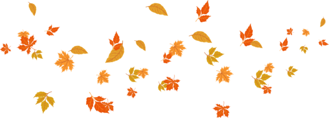 Autumn banner with orange leaves. Colorful autumn set of leaves, mashrooms and acorns. Vector illustration clipart leaves set autumn on white background isolated, vector plie of colorful leaves