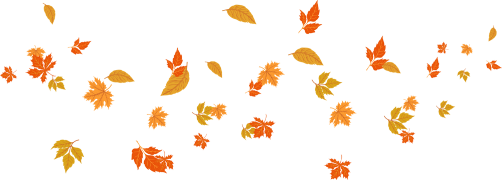 Autumn banner with orange leaves. Colorful autumn set of leaves, mashrooms and acorns. Vector illustration clipart leaves set autumn on white background isolated, vector plie of colorful leaves