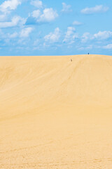 鳥取砂丘　馬の背