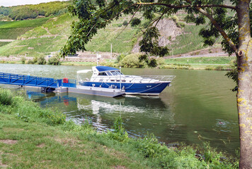 Blue and white cabin cruiser docked on moselle river with vineyards in background