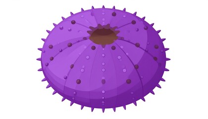 Purple sea urchin, round, spiky, detailed