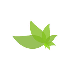 abstract green leaf logo, simple leaf design