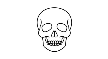 Clean line art illustration of a human skull, a minimalist graphic symbolizing mortality, anatomy, and potential danger, perfect for diverse design projects or educational resources