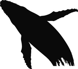 Humpback Whale Black Silhouette Vector Image