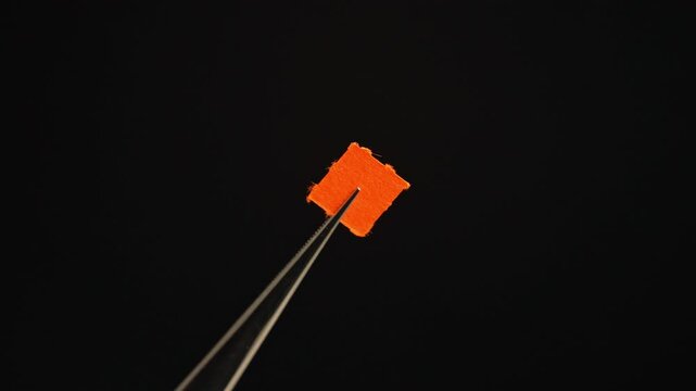 Medical tweezers holding LSD strip blotter with dry drop of Lysergic acid drug, lucy, or Ellis D. Hallucinogenic drug for consumption. Famous in electronic music culture and psychedelic rave community