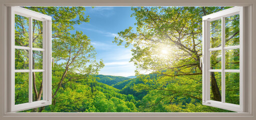 Seeing nature's beauty through an open window, Sunlight streaming through trees reveals summer or spring in the distant forest © vasyl pshyk