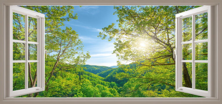 Seeing nature's beauty through an open window, Sunlight streaming through trees reveals summer or spring in the distant forest