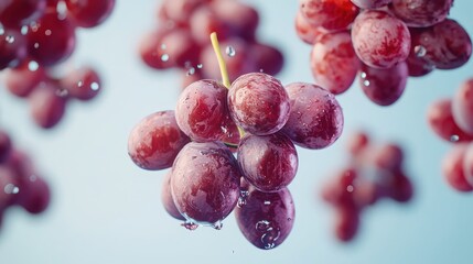 Fresh red grapes with water droplets floating against a soft blue background