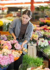 Near showcase with cut flowers, girl visitor examines bunches of hydrangea , selects flowers, and buys bouquet at self-service store... © JackF