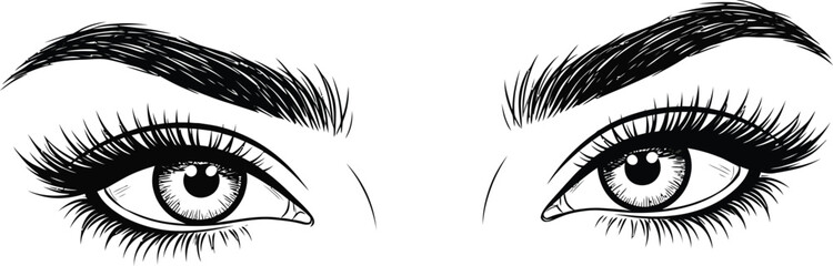 Close up sketch of a woman s expressive eyes with long lashes and bold eyebrows