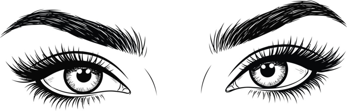 Close up sketch of a woman s expressive eyes with long lashes and bold eyebrows