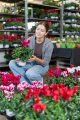 Indoor and outdoor design using plants, growing flowers as hobby, vegetation in interior solutions. Girl works as auxiliary worker in plant store warehouse, review cyclamen .. . © JackF