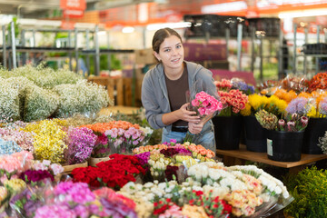 Near showcase with cut flowers, girl visitor examines bunches of carnation, selects flowers, and buys bouquet at self-service store...