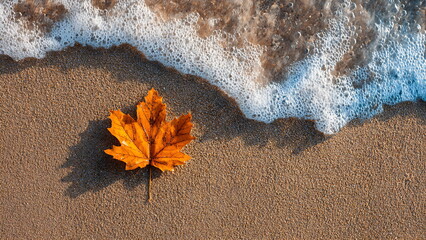 a maple leaf on beach