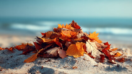 autumn leaves on sandy beach