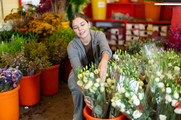 Girl salesman takes out bunch of eustoma from showcase, creates bouquets, combines flowers and decorative herbs. Supply and demand, assortment of flowers for ceremonial and ritual bouquets. © JackF