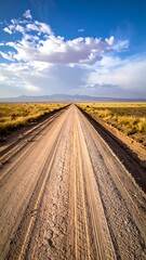 An endless dirt road stretches to the horizon under a blue sky